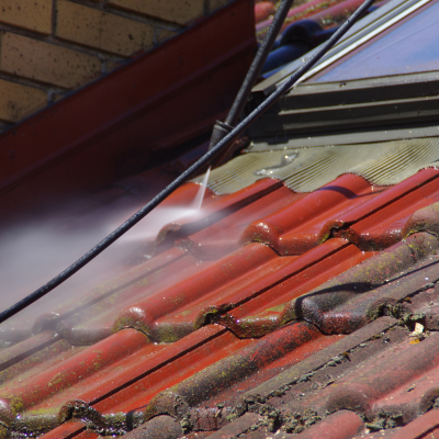 Roof Before and After Cleaning